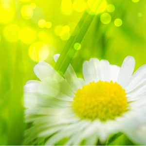 天堂一区二区三区在线观看
